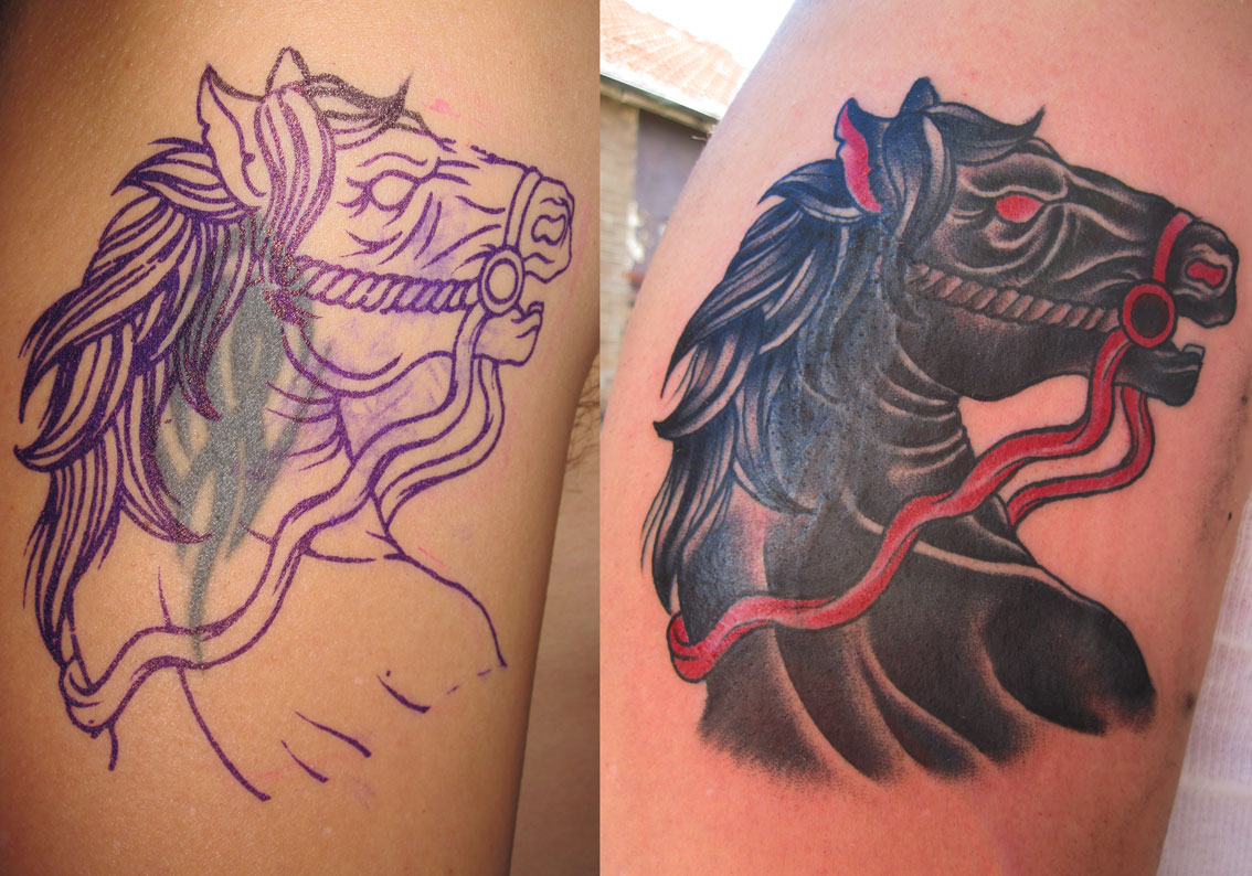 A black horse cover up