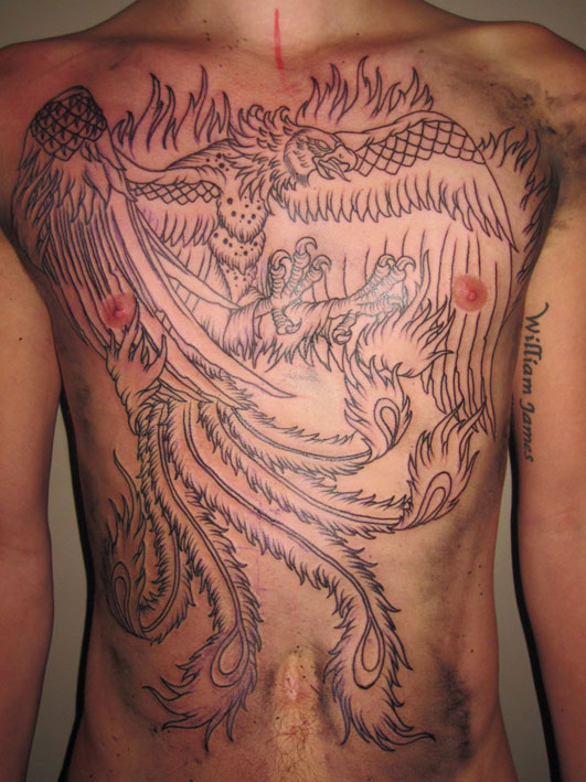 and started a large chest body phoenix